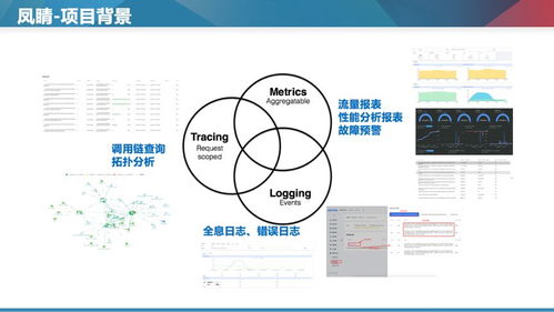 Apache Doris 在商業(yè)大規(guī)模微服務(wù)全鏈路監(jiān)控中的數(shù)據(jù)處理服務(wù)實(shí)踐